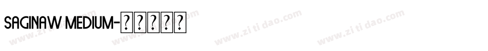 Saginaw Medium字体转换